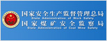 国家安全生产监督管理总局